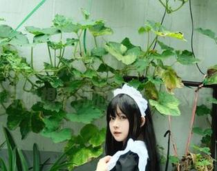 咱们的白莉爱吃巧克力出新图包了，香奈乎里有你想不到的神奇下载环节！
